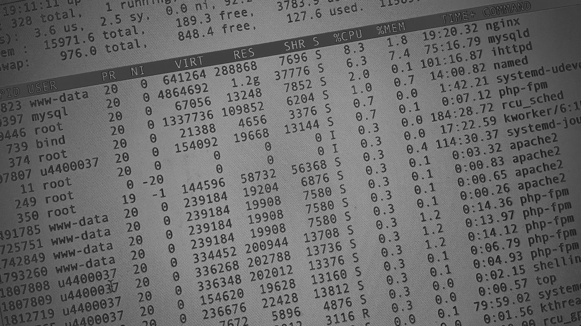 Настройка сервера в Торжке